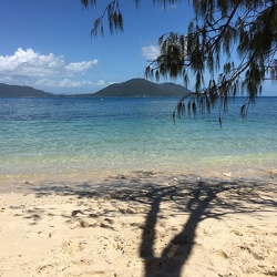 Fitzroy Island